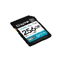 kingston sdg4 256gb 2.0 (1).webp