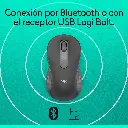 6.webp