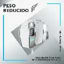 6.webp