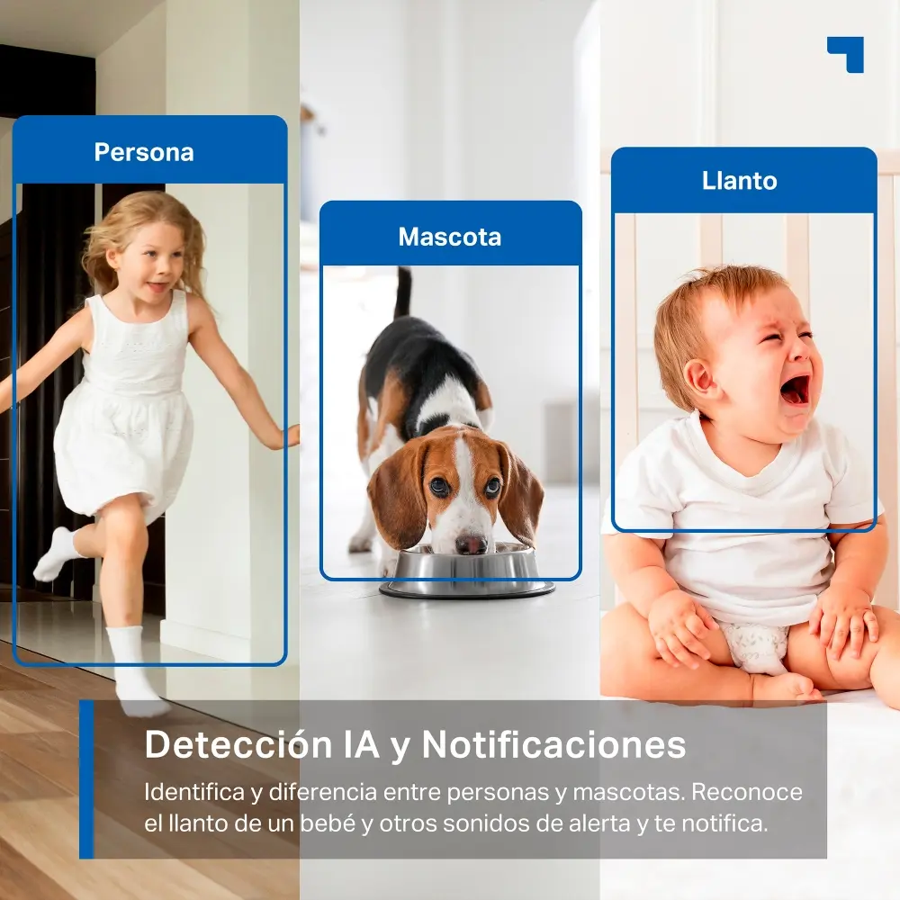 TPLINK Tapo C220 0.4.webp