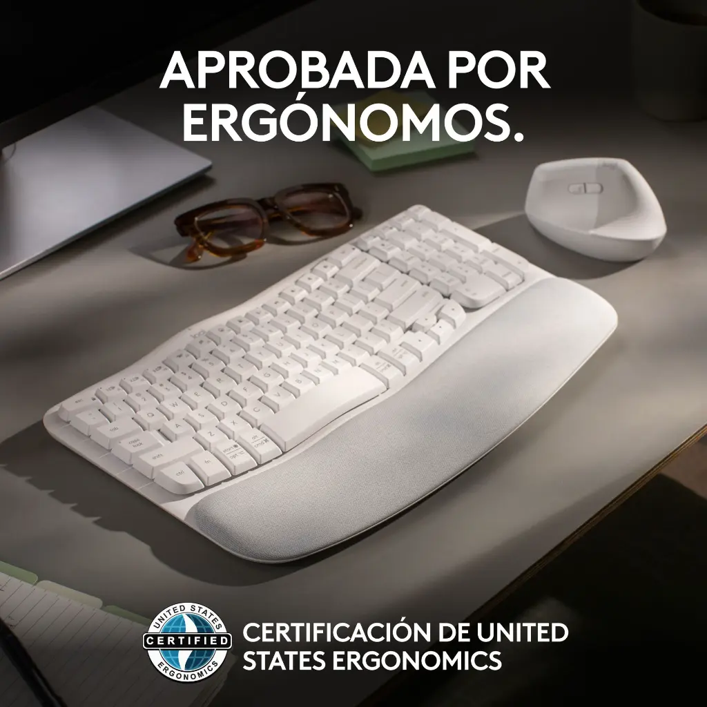 5.webp