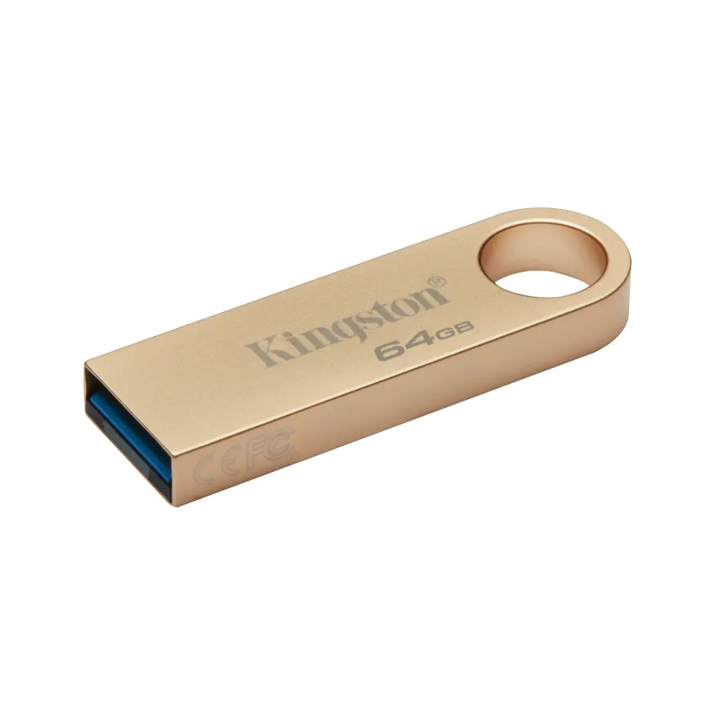Memoria USB-A 64GB Kingston DataTavel Dorado DTSE9G364GB 2.0 (1).webp