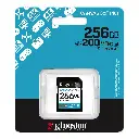Kingston Canvas Go! Plus Class 10 SDG4256GB 2. (2).webp