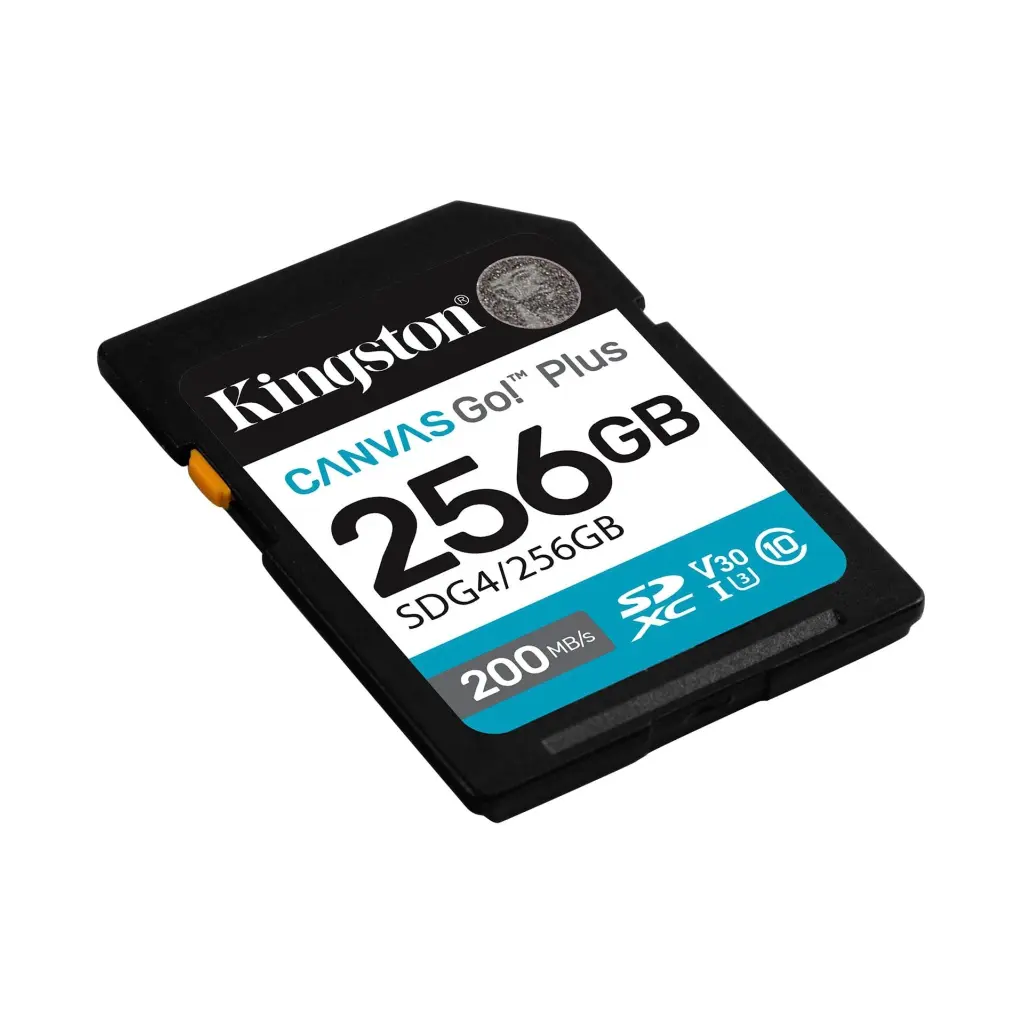 Kingston Canvas Go! Plus Class 10 SDG4256GB 2. (1).webp