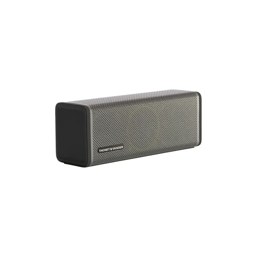 Parlante Bluetooth THONET & VANDER Frei TWS Gris HK096-03610