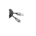 Cable USB a Lightning Aspor A132L 2M Negro